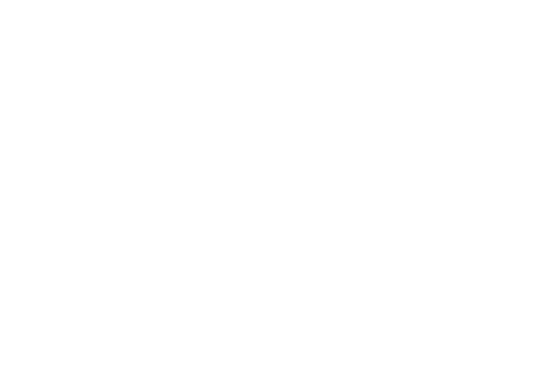 Fisioflex insoles
